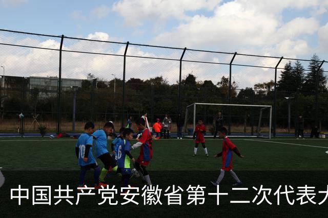 中国共产党安徽省第十二次代表大会胜利闭幕