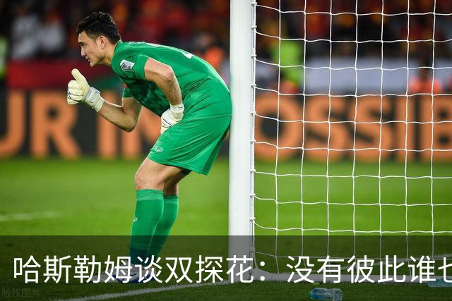 哈斯勒姆谈双探花：没有彼此谁也达不到现在的高度