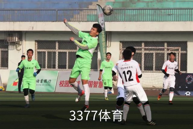 3377体育公司环境与团队介绍